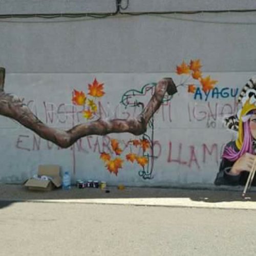 obra-chica-mapache-proceso