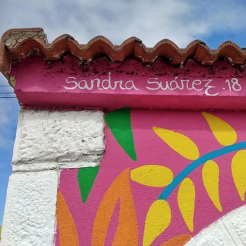 obra-el-corazon-de-la-selva-proceso12