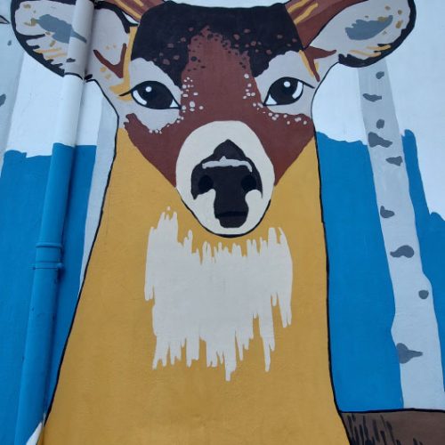 obra-los-gorriones-estan-en-extincion-proceso13