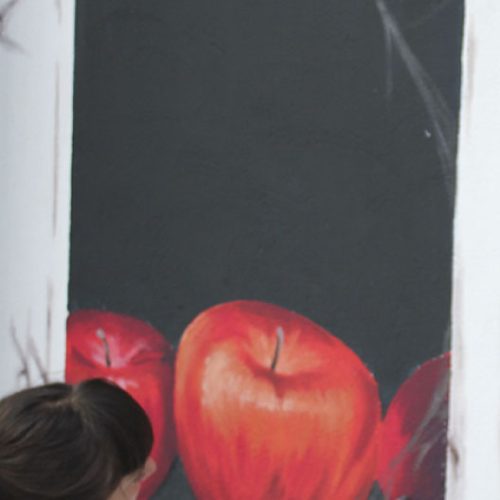 obra-manzanas-proceso2