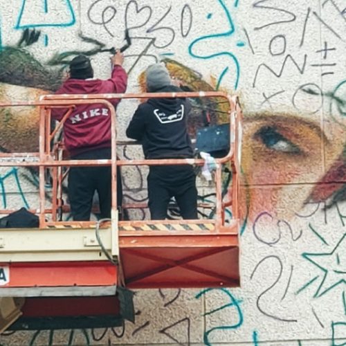 obra-primavera-proceso8