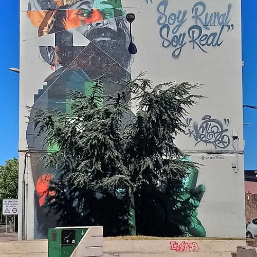 obra-soy-rural-soy-real-proceso2