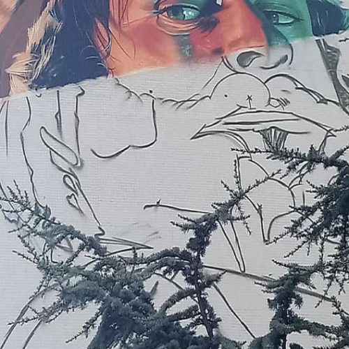 obra-soy-rural-soy-real-proceso3