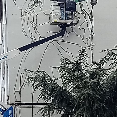 obra-soy-rural-soy-real-proceso5