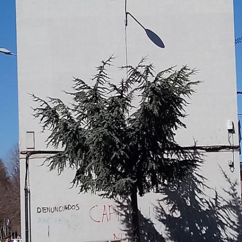 obra-soy-rural-soy-real-proceso7